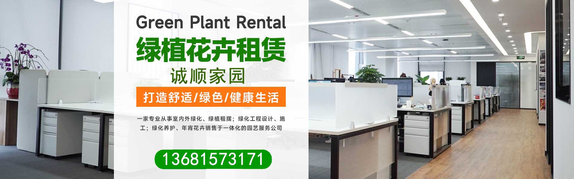 绿植花卉展示