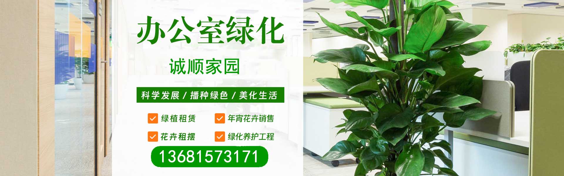 绿植租赁服务