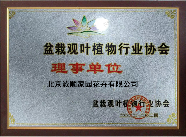 会员单位