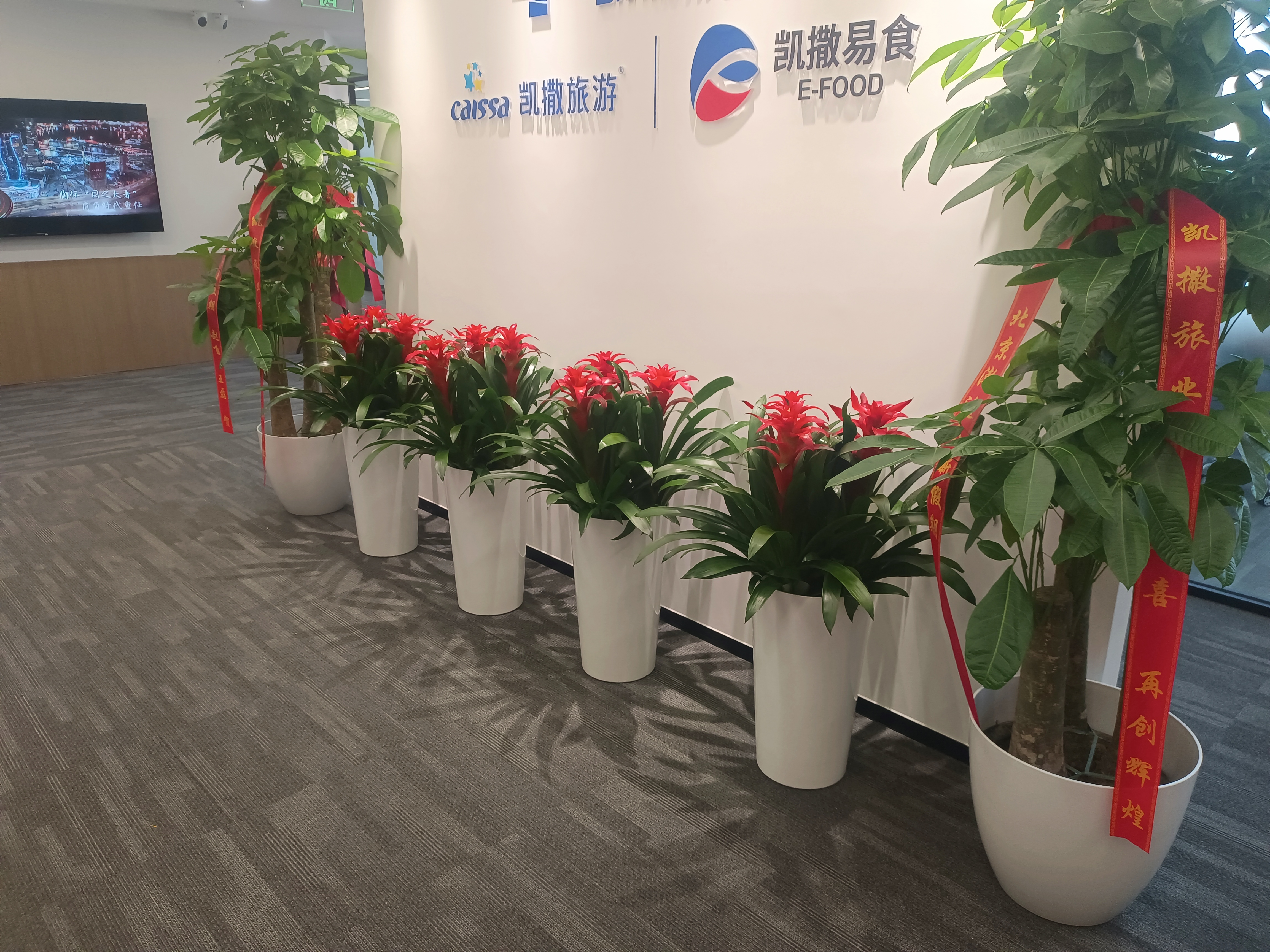 诚顺家园成功客户案例四