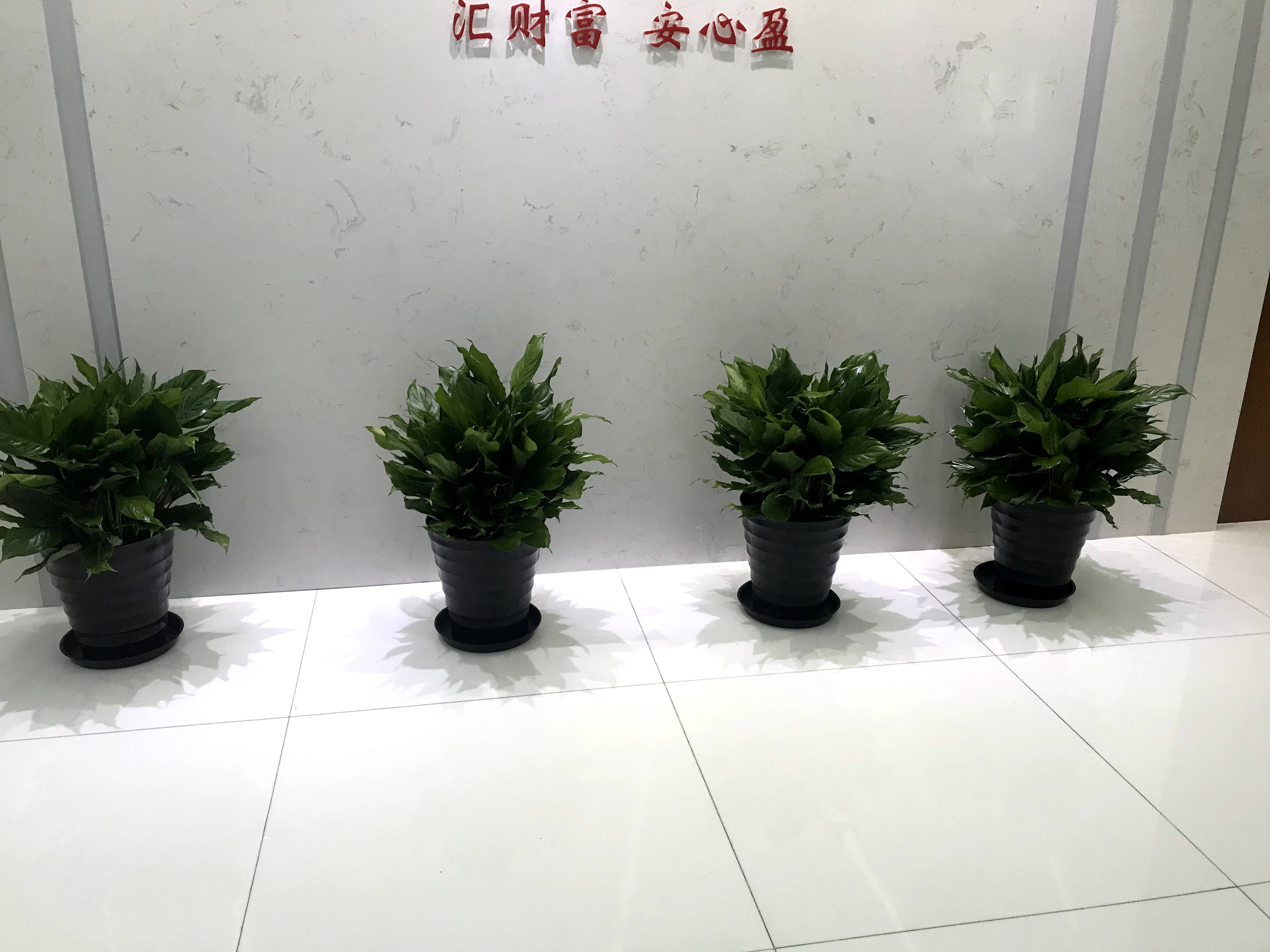 诚顺家园成功客户案例十一