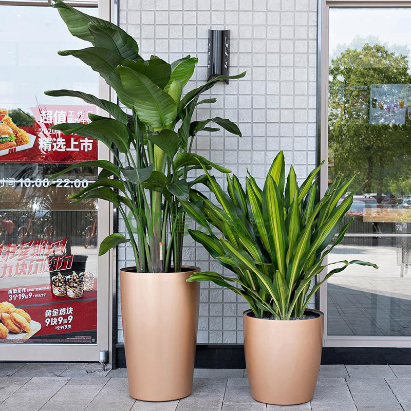 组合盆栽018-地面绿植组合