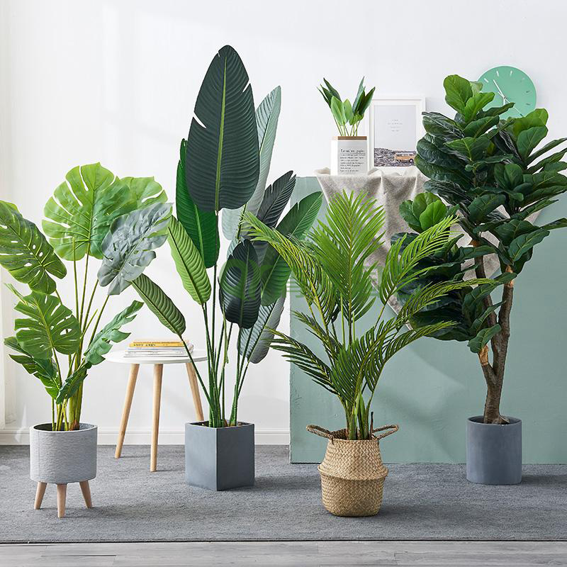 组合盆栽020-地面绿植组合