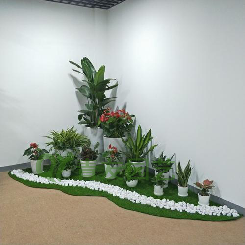 组合盆栽021-地面绿植组合
