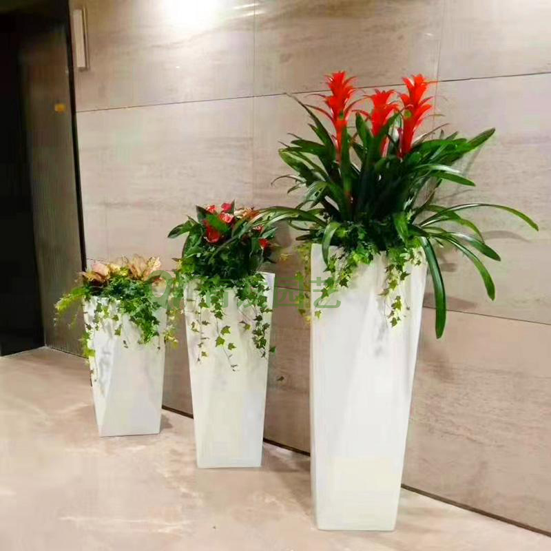 组合盆栽022-地面绿植组合