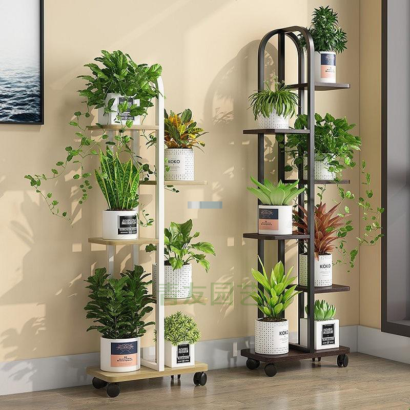 组合盆栽030-花架绿植组合