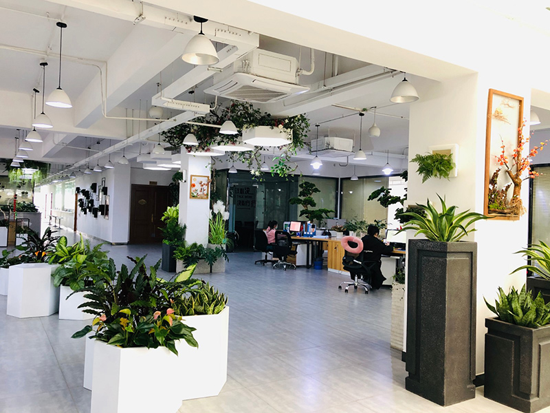 如何在办公室内正确摆放植物，从而避免禁忌？