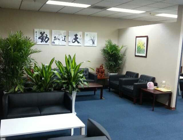 办公室绿植租赁之前台绿植摆放讲究