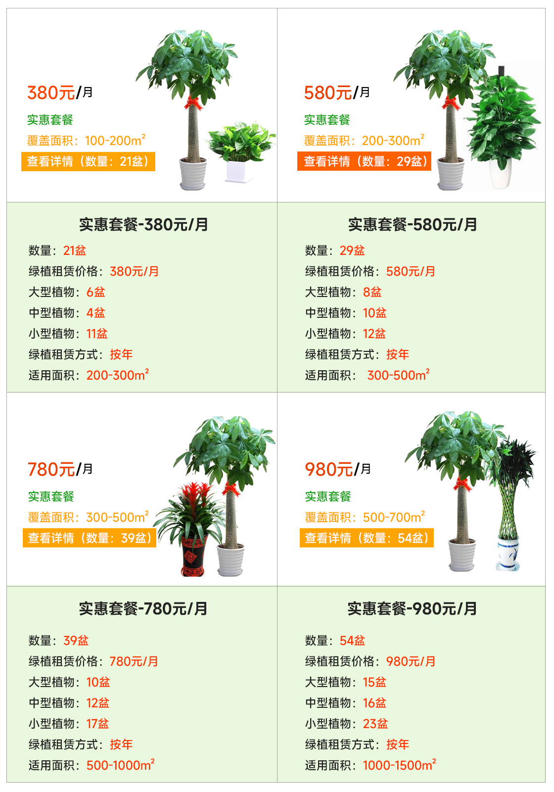 绿植租赁预算