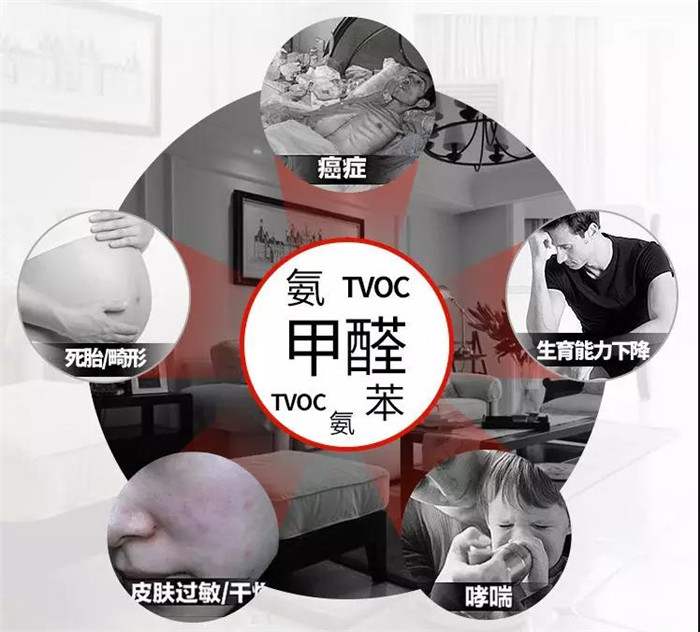 北京办公室摆放什么绿植可以除甲醛？