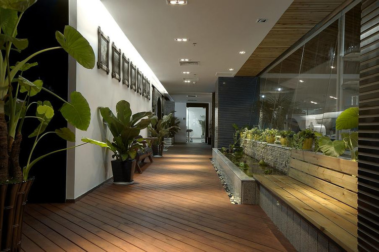 办公室装修中风水植物怎么摆放？
