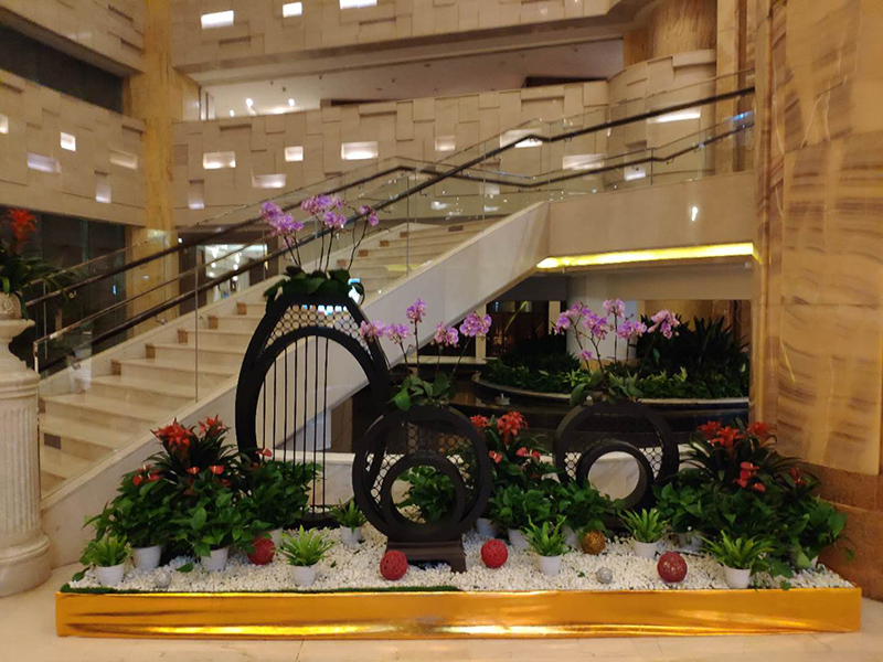 酒店大堂怎么摆放绿植盆栽？绿植租赁时怎么组景？