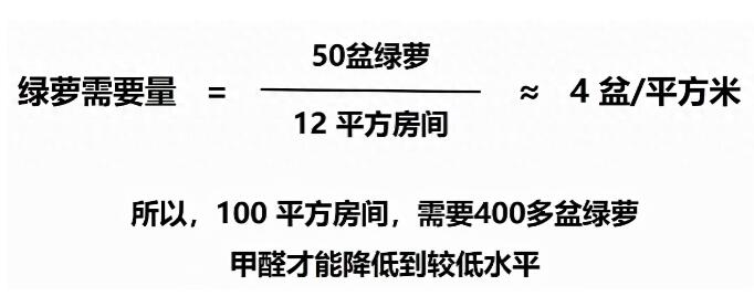 公司用绿萝除甲醛，到底靠不靠谱？